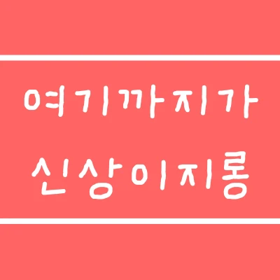 여기까지가 신상이지롱!