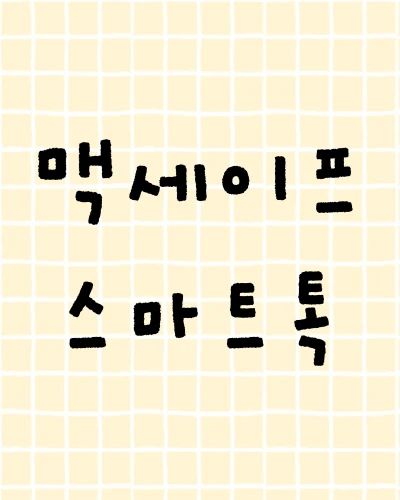맥세이프 스마트톡