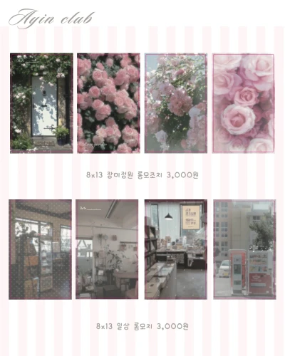 장미 정원 롱모지 / 일상 롱모조지