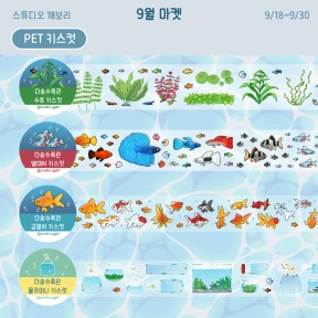 키스컷 테이프