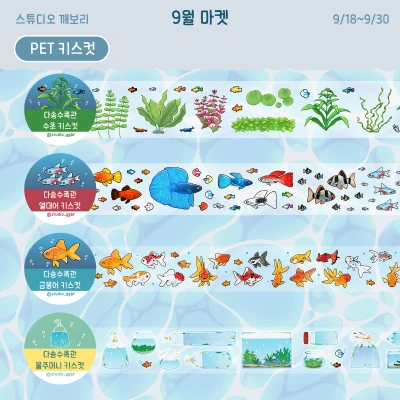 키스컷 테이프
