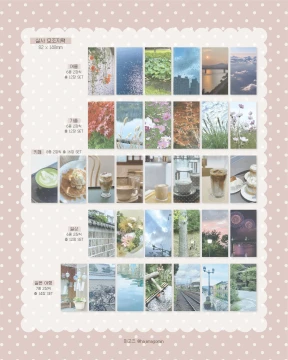 실사 모조지팩