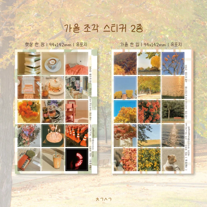 차각사각 가을맛 마켓