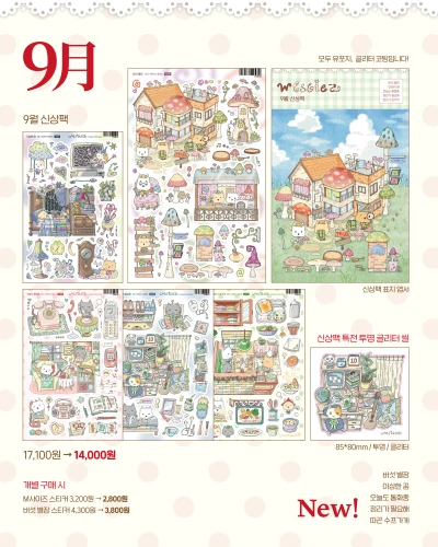 ⋰˚New 9월 신상팩
