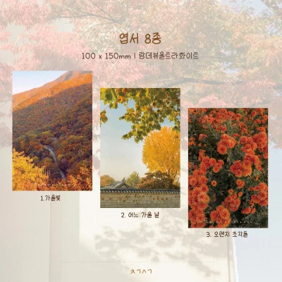 10월 엽서 8종