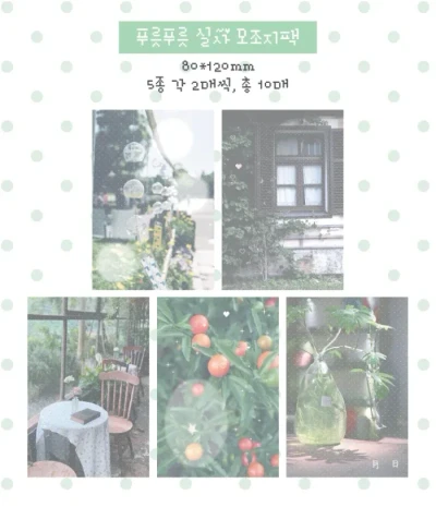 [모조지팩]푸릇푸릇 실사 모조지팩