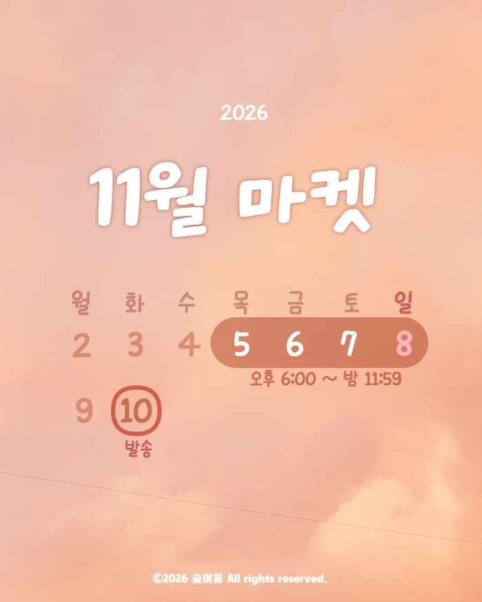 11월 마켓