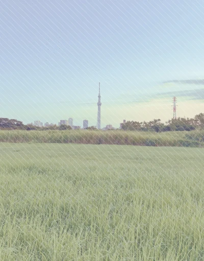 모조지 B