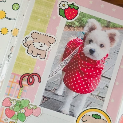 [스티커] 룽지의 하루