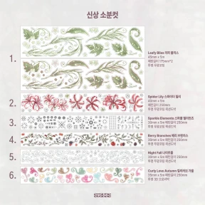 🍁 신상 키스컷 소분