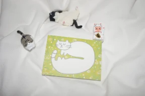 NEW☆고양이의 꿈