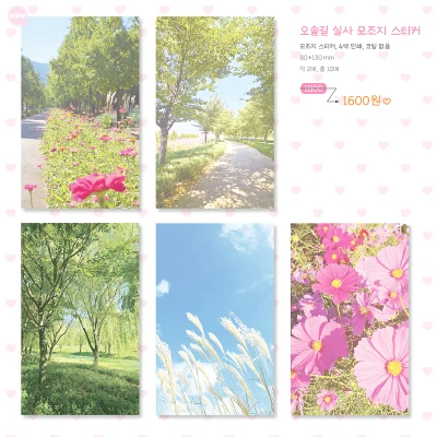 오솔길 실사 모조지 스티커