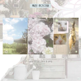 도시오브드림 페이퍼즈클럽 선주문 마켓