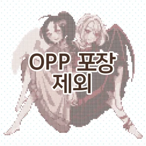 🩶OPP 포장 제외🌱