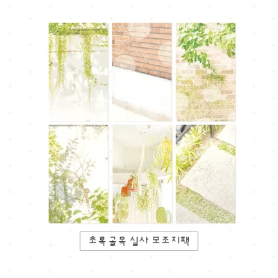 [신상]초록 골목 실사모조지팩