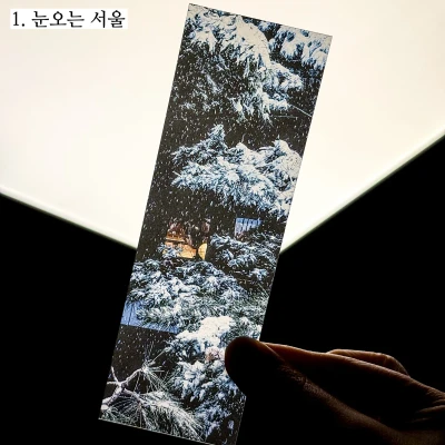 반투명 책갈피 5종