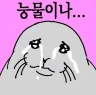 이건멀까